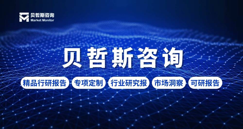 付款分析软件市场-国内外供需