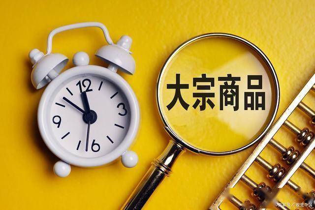 光大期货交易内参20241113