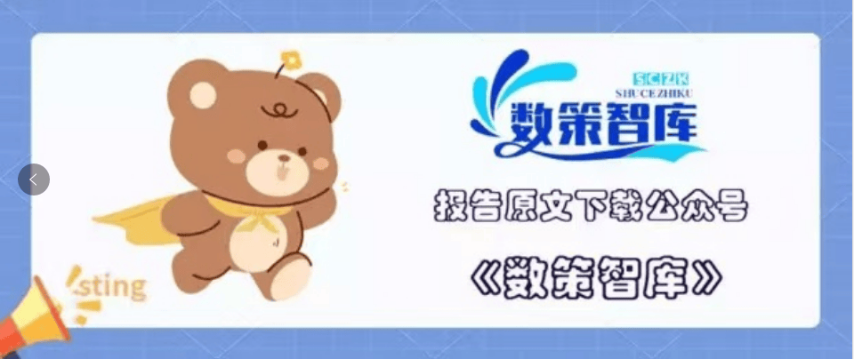 2024全球数字货币发展报告(3)