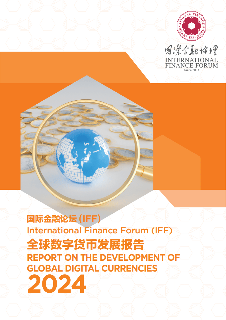 2024全球数字货币发展报告(3)
