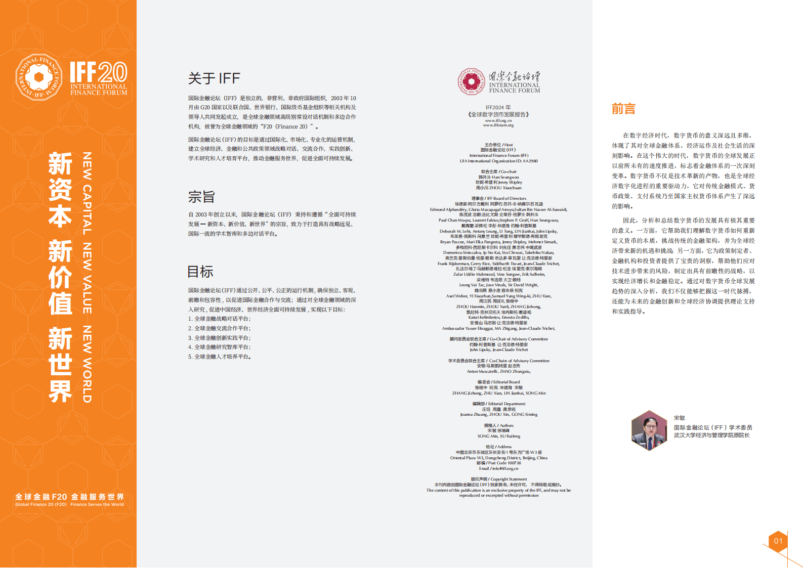 2024全球数字货币发展报告(3)