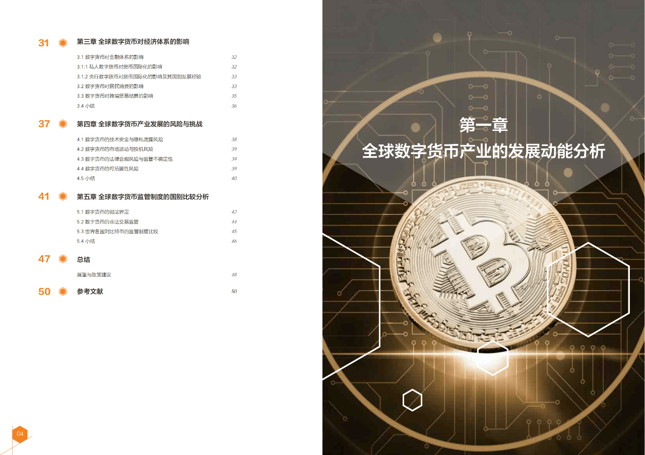 27页|2024全球数字货币发展报告