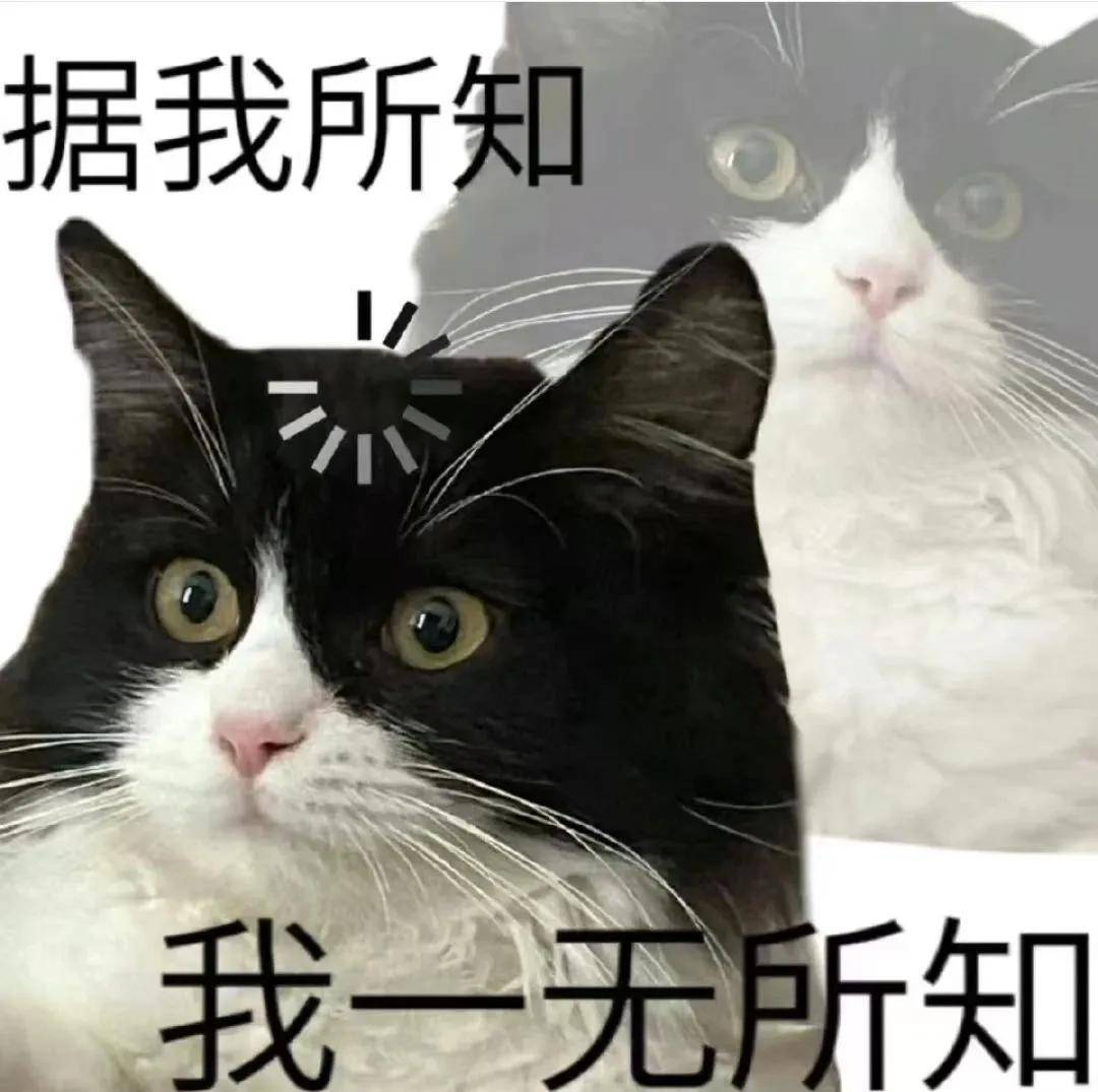 “U币”不行了，所以“USDT币”上？