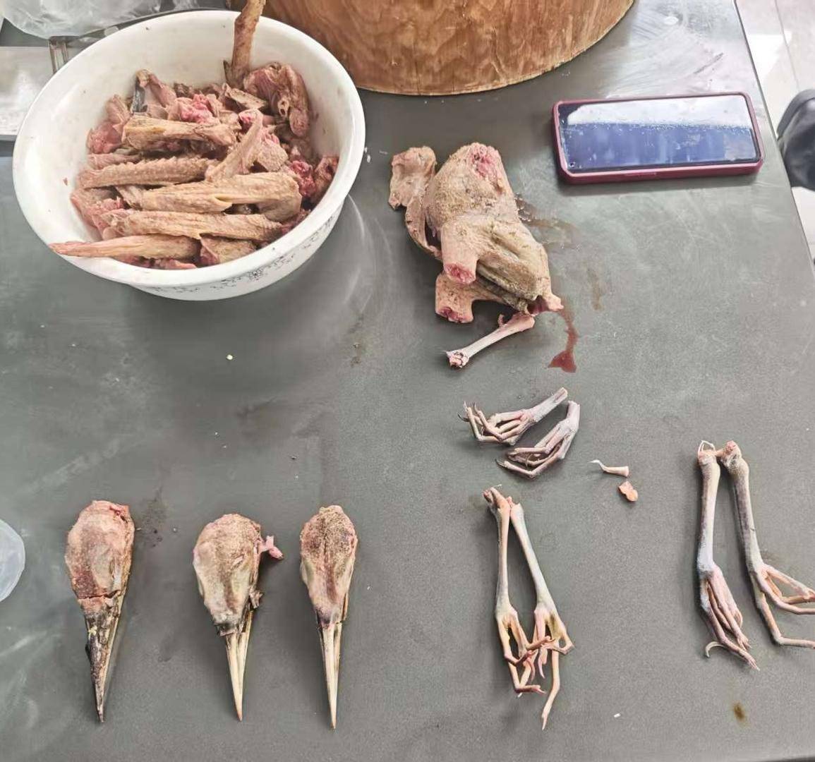 男子非法猎捕19只夜鹭、1只果子狸私下出售,被采取刑事强制措施