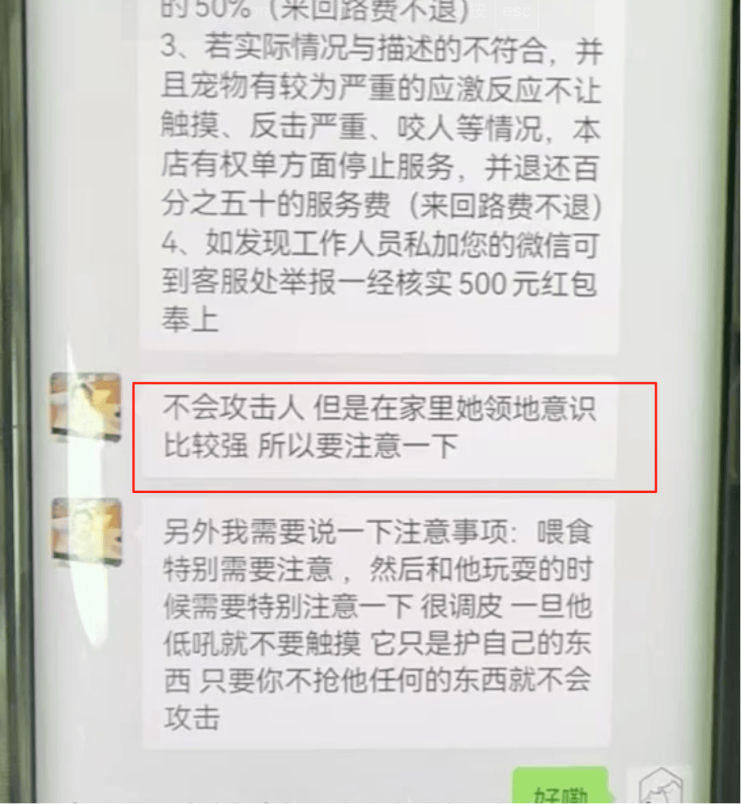 女子上门代喂,被100多斤阿拉斯加犬咬伤遭毁容,狗主人称不担全责