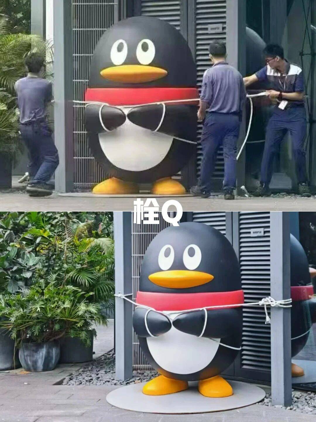 个头大过广东!谨防风王“桦加沙”,深圳人太硬核!这些务必码住