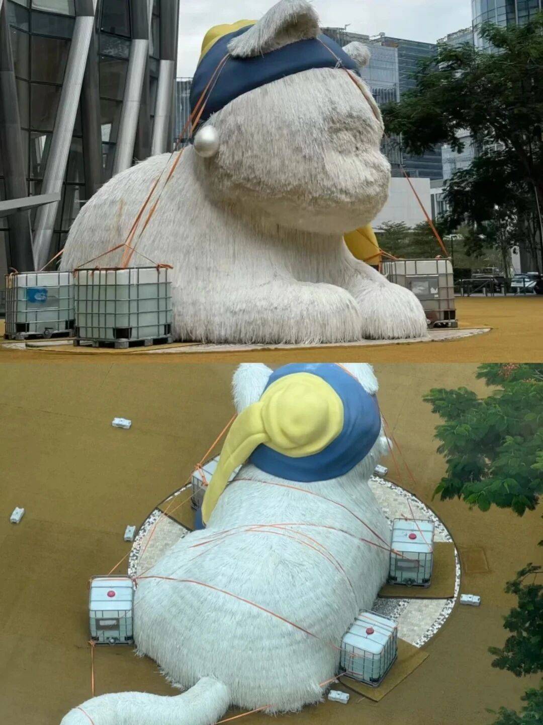 个头大过广东!谨防风王“桦加沙”,深圳人太硬核!这些务必码住