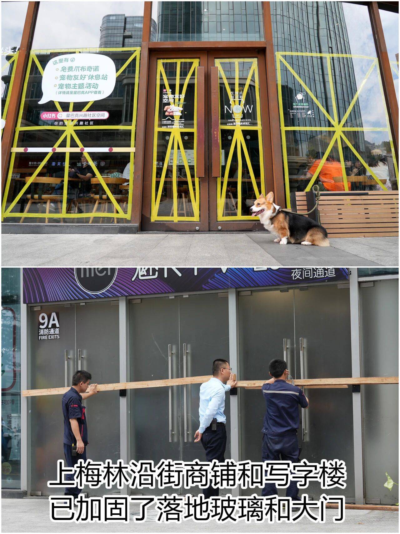 个头大过广东!谨防风王“桦加沙”,深圳人太硬核!这些务必码住