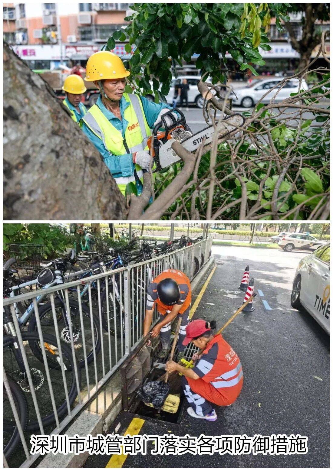 个头大过广东!谨防风王“桦加沙”,深圳人太硬核!这些务必码住
