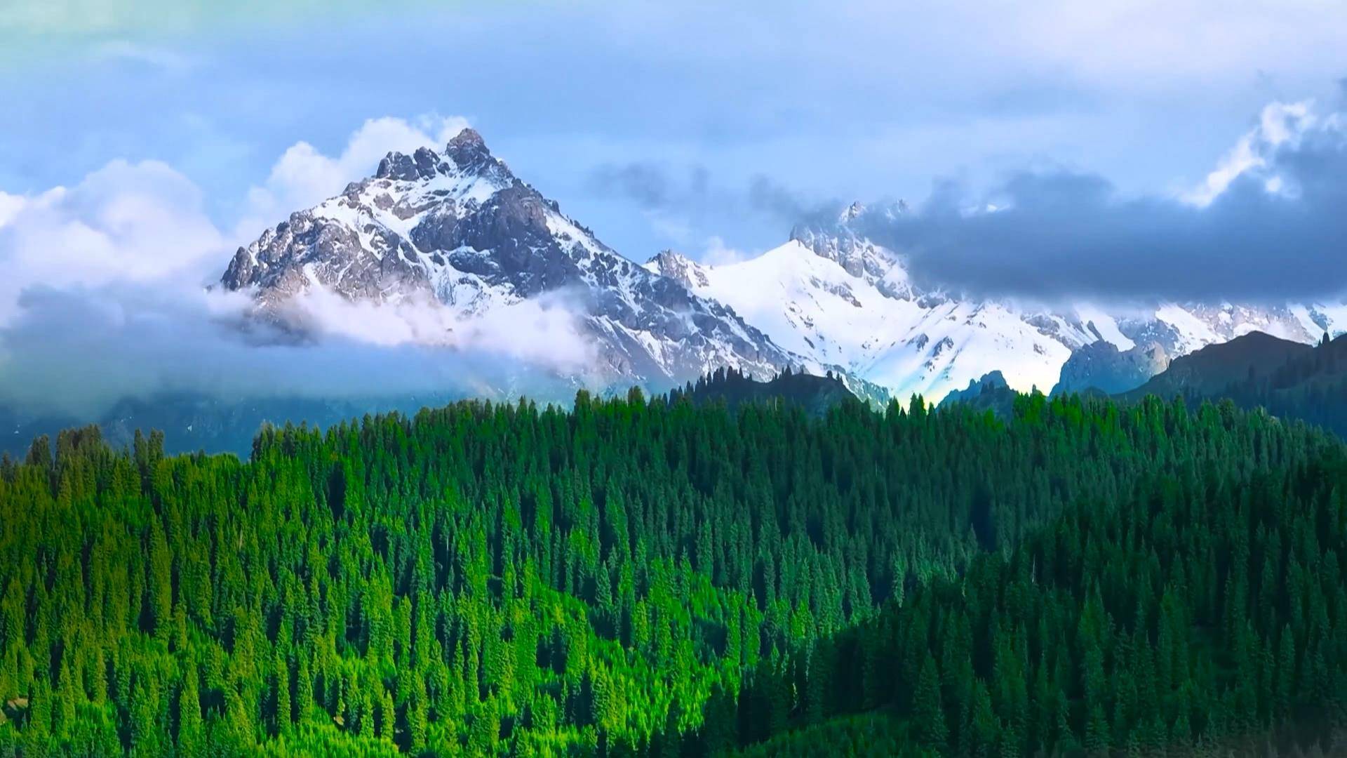 时政微视频丨瞰新疆