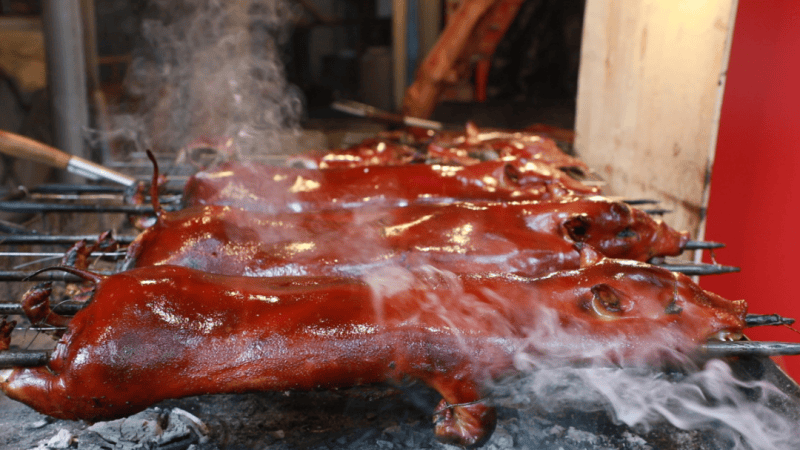 2025海南东方半程马拉松今日启动报名 11月23日畅享滨海人文与体育激情