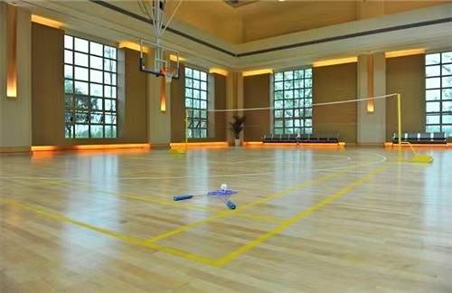 选择浩林体育运动木地板的理由与优势解析？浩林体育|体育运动木地板