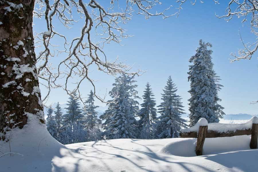 体育赛事直播技术提升互动性