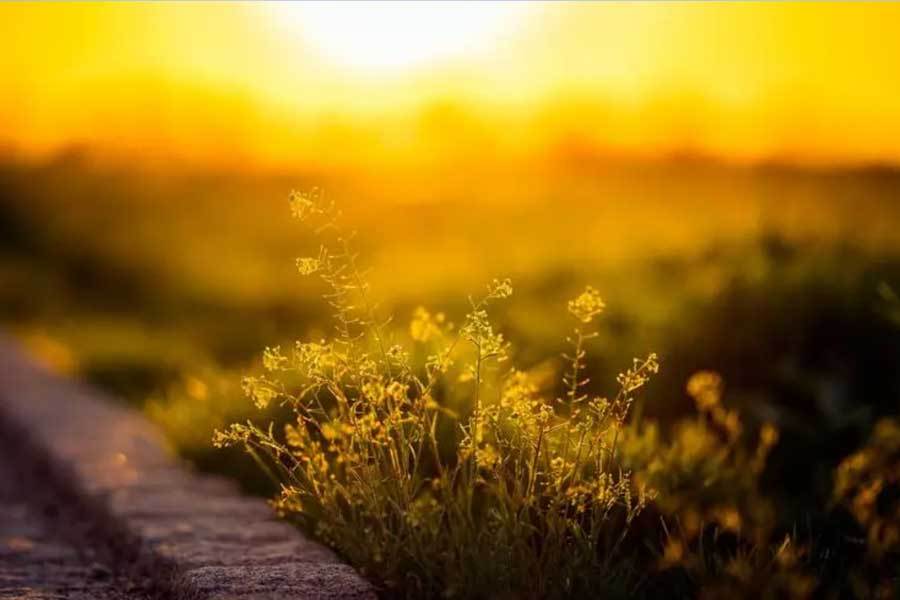 体育赛事直播解说专业易懂