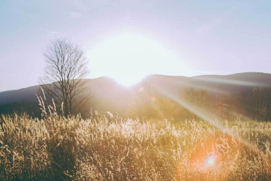 体育赛事直播互动环节参与高