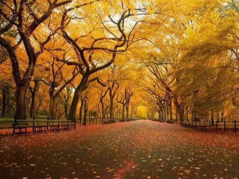 体育赛事直播多视角选择多