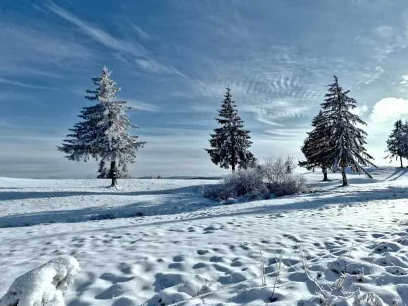 体育赛事直播创新观众体验升级