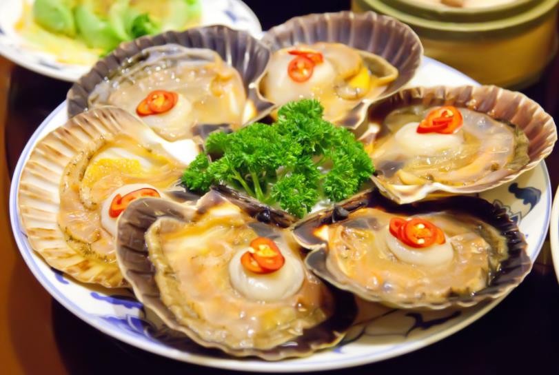 扇贝虚拟币(扇贝会员兑换)