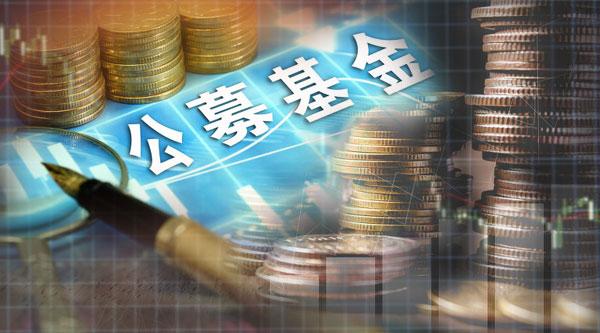 公募证券投资基金(公募证券投资基金的投资范围)