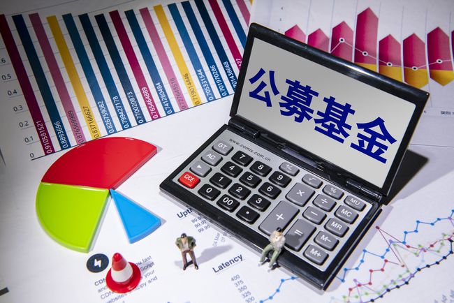 公募证券投资基金(公募证券投资基金包括)