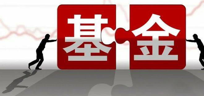 公募证券投资基金(公募证券投资基金包括)