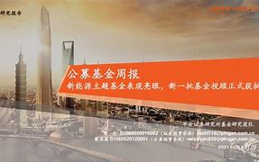 公募证券(公募证券投资基金利益共享风险共担是指)