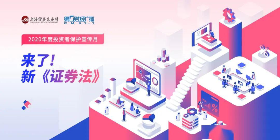 最新证券法(最新证券法解读与案例精析)